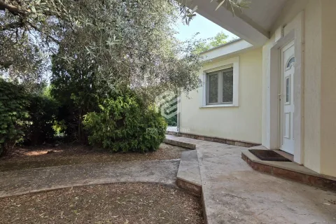 Rent, house, 250m², Donji Kokoti, Podgorica - image 10