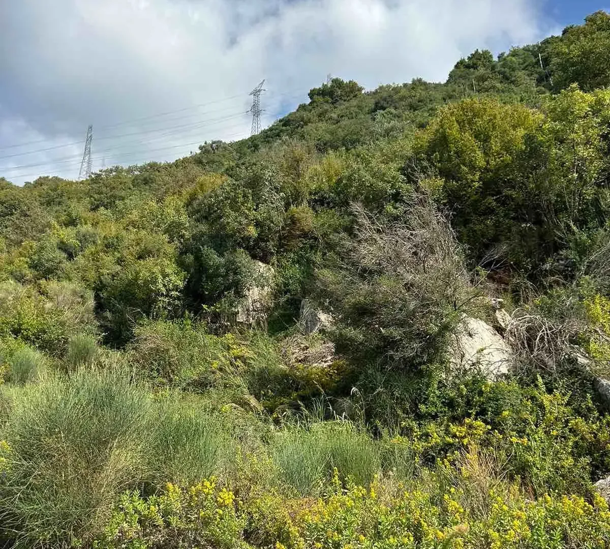 Prodaja, plac, 4500m², Kotor, Crna Gora