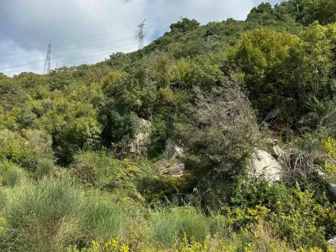 Prodaja, plac, 4500m², Kotor, Crna Gora - image 2