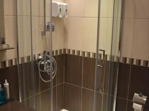 Izdavanje, kuća, 250m², Petrovaradin, Novi Sad - image 15