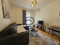 Izdavanje, stan, 36m², Zabjelo, Podgorica - image 11