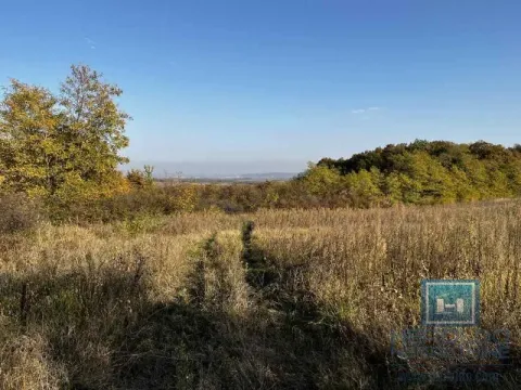 Sale, house, 20m², Lozovik, Jagodina - image 10