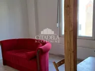 Prodaja, stan, 27m², Vračar Centar, Vračar Sve Podlokacije - image 4
