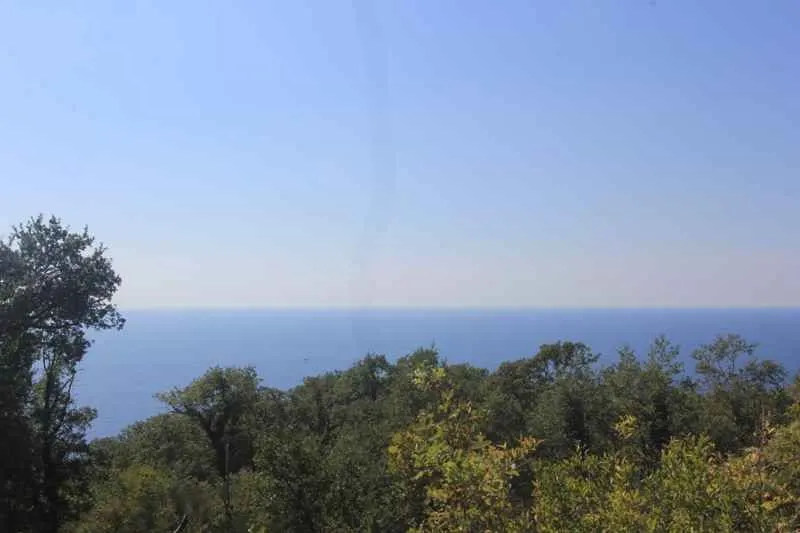 Prelijep panoramski pogled na more preko šumovitog predjela.