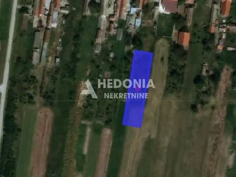 Prodaja, plac, 4000m², Petrovčić, Surčin