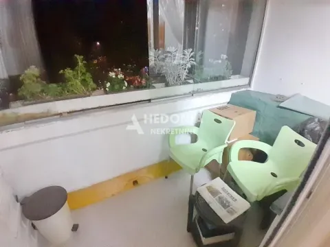 Zastakljeni balkon sa zelenilom i baštenskim nameštajem. - image 3