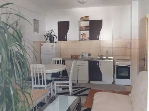 Izdavanje, jednosoban stan, 42m², Budva, Crna Gora - image 7