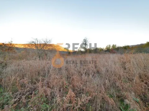 Prodaja, plac, 18000m², Danilovgrad, Crna Gora - image 9