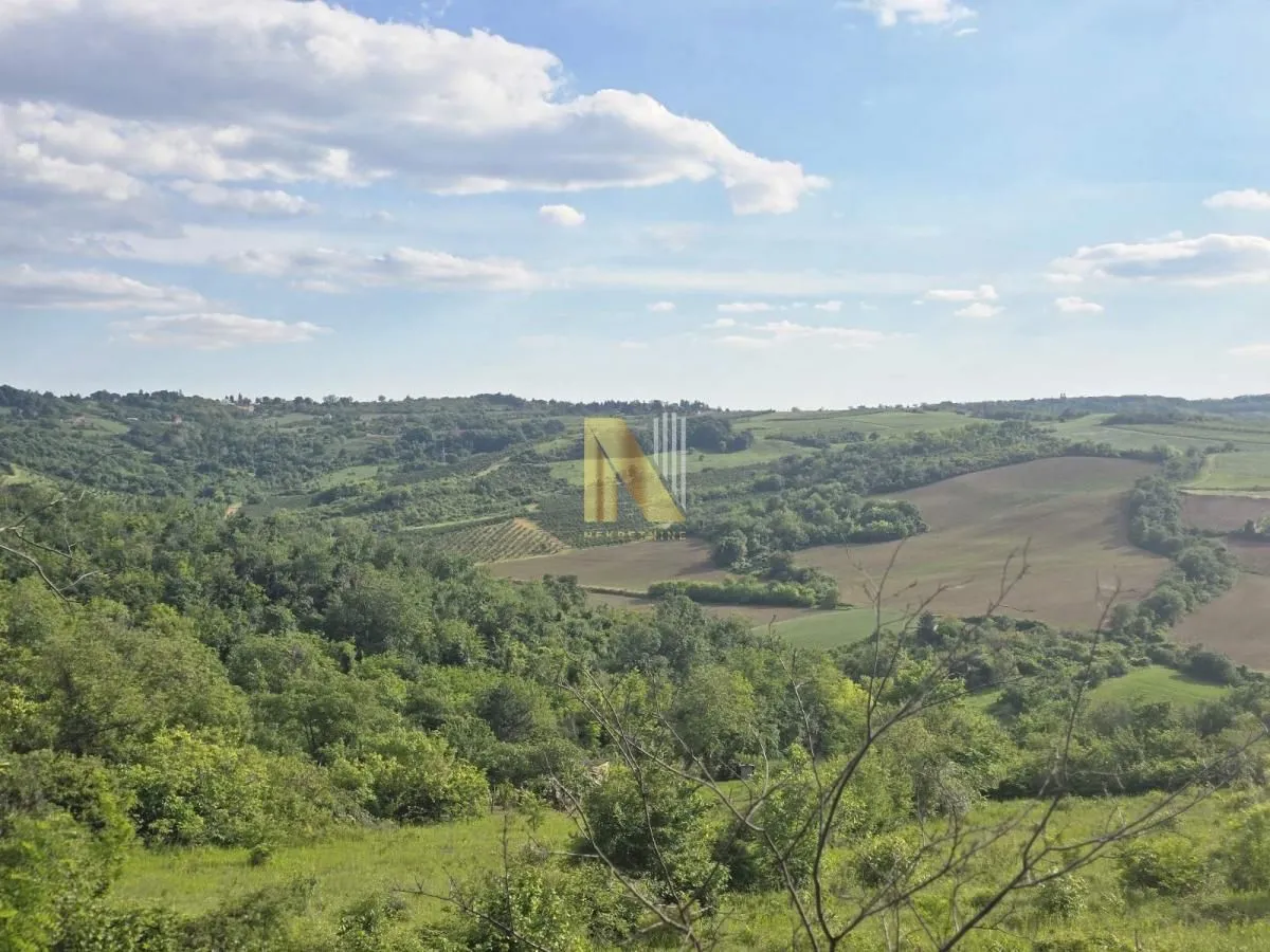 Sale, land lot, 4200m², Sremski Karlovci, Novi Sad