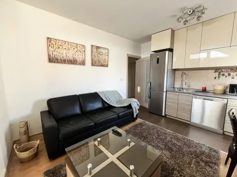Izdavanje, dvosoban stan, 50m², Preko Morače, Podgorica - image 6