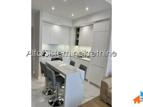 Izdavanje, dvosoban stan, 55m², Savski Venac, Beograd - image 7