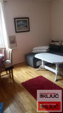 Dnevna soba sa garniturom za sedenje, stočićem i drvenim podom. - image 4