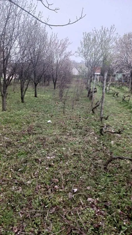 Prodaja, kuća, 70m², Krčedin, Inđija