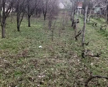 Prodaja, kuća, 70m², Krčedin, Inđija - image 5