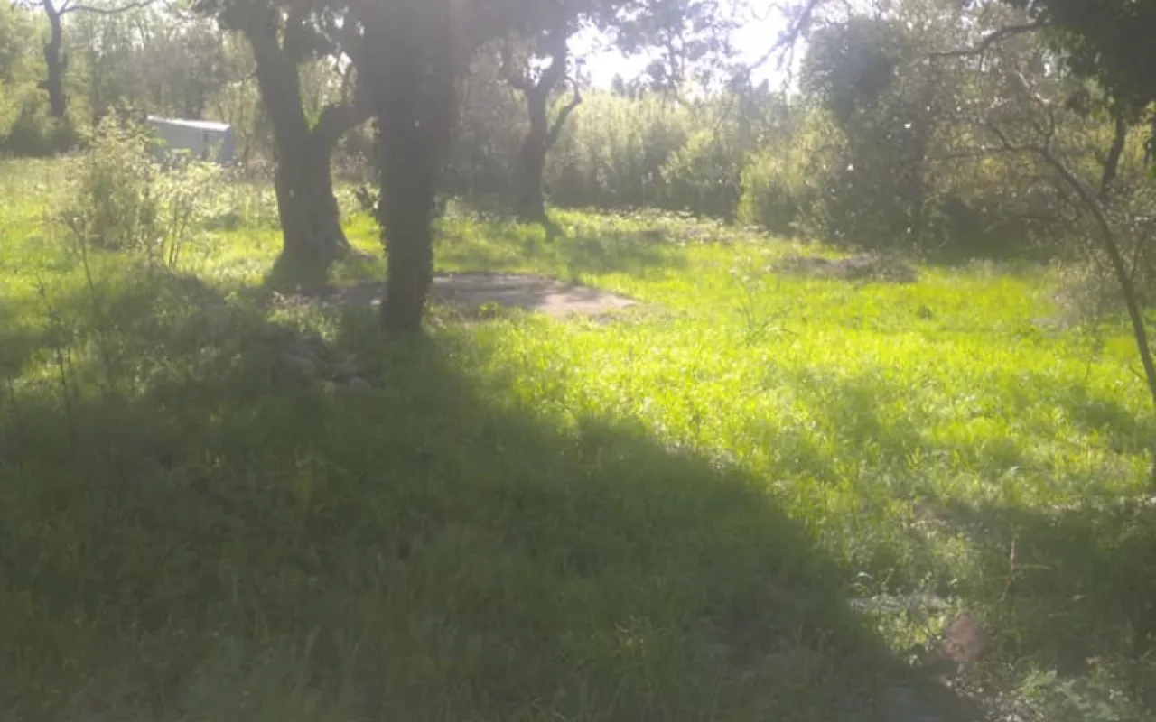 Prodaja, plac, 518m², Buljarica, Budva