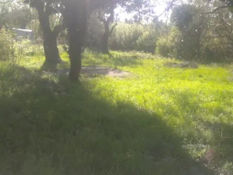 Prodaja, plac, 518m², Buljarica, Budva - image 5