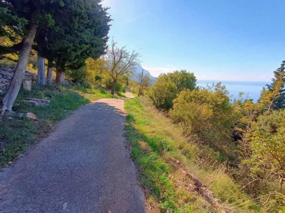 Prodaja, plac, 3800m², Kuljače, Budva