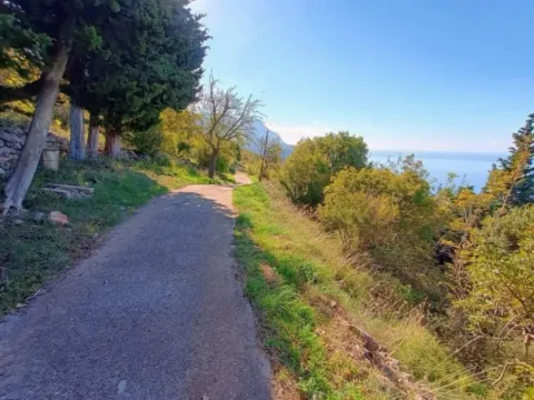 Prodaja, plac, 3800m², Kuljače, Budva - image 8