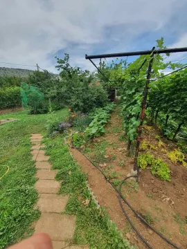 Dvorište sa baštom i vinovom lozom. - image 11