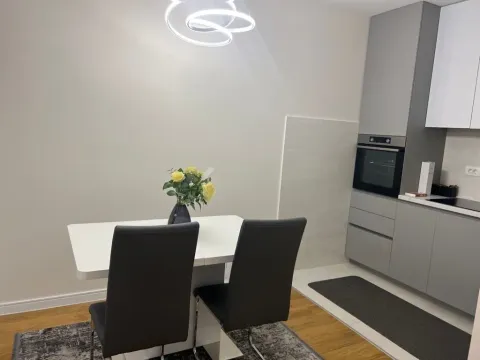 Izdavanje, jednosoban stan, 49m², Central Point, Podgorica - image 7