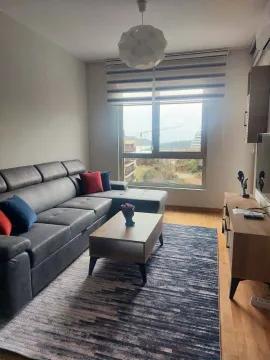 Rent, one bedroom apartment, 45m², Bečići, Budva - image 11