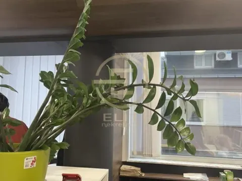 Izdavanje, poslovni prostor, 334m², Bulevar Oslobodjenja, Novi Sad Sve Podlokacije - image 7