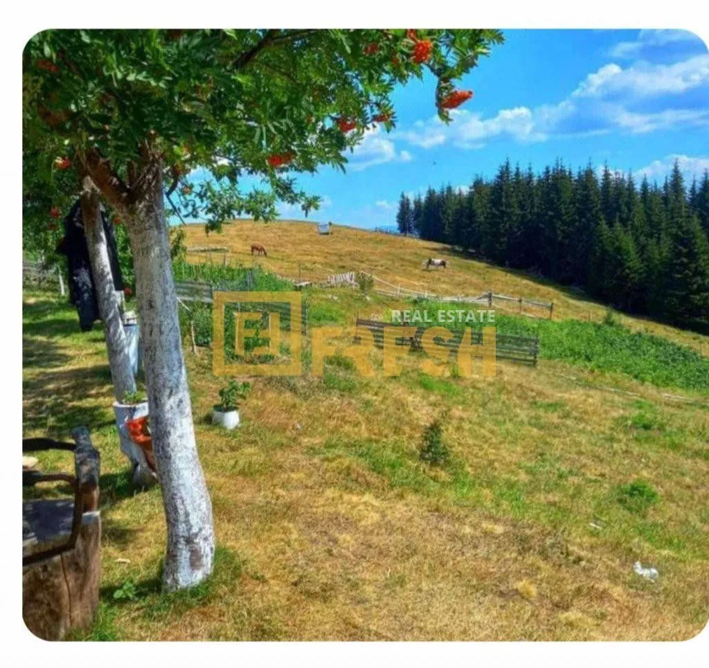 Prodaja, plac, 6000m², Berane, Crna Gora