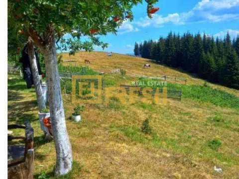 Prodaja, plac, 6000m², Berane, Crna Gora - image 16