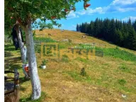 Prodaja, plac, 6000m², Berane, Crna Gora - image 16