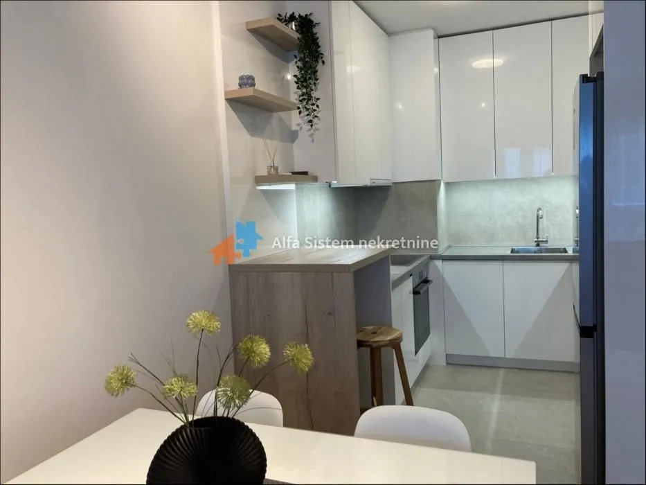 Izdavanje, dvosoban stan, 54m², Novi Beograd Blok 65, Novi Beograd Sve Podlokacije