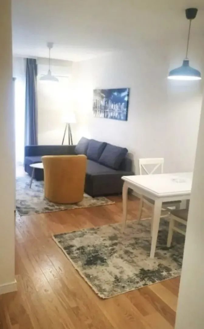 Rent, one bedroom apartment, 42m², Central Point, Podgorica