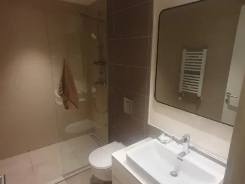 Rent, one bedroom apartment, 30m², Savski Venac, Beograd - image 9