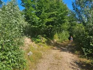 Prodaja, plac, 6154m², Kolašin, Crna Gora - image 2