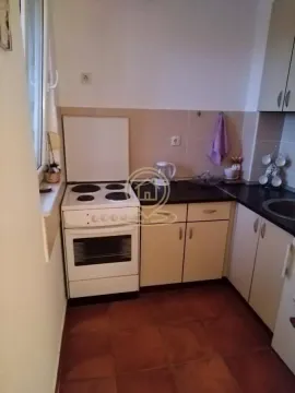 Rent, one bedroom apartment, 31m², Adamovićevo Naselje, Novi Sad Sve Podlokacije - image 5