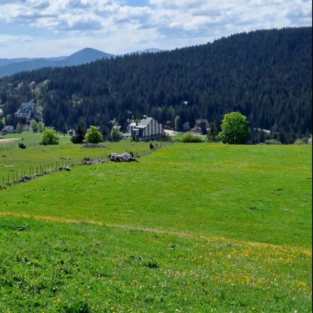 Prodaja, plac, 4406m², Pitomine, Žabljak