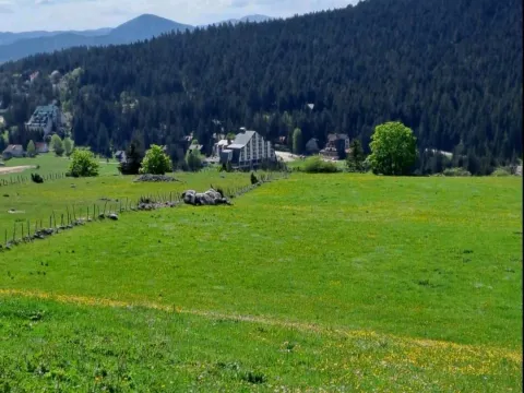 Prodaja, plac, 4406m², Pitomine, Žabljak - image 3