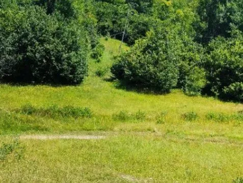 Sale, land lot, 3021m², Vladoš, Kolašin - image 7