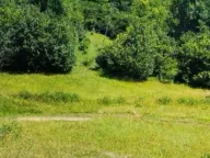 Sale, land lot, 3021m², Vladoš, Kolašin - image 7