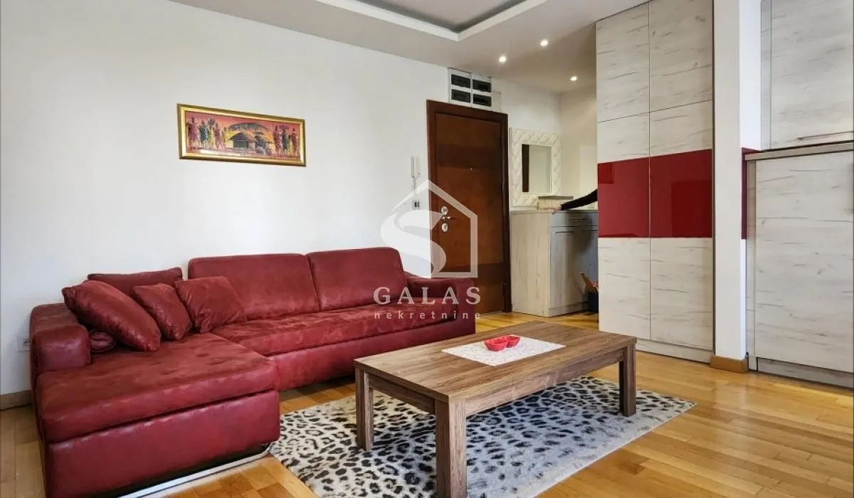 Izdavanje, dvosoban stan, 43m², Vračar Sve Podlokacije, Beograd