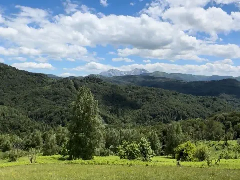 Sale, land lot, 83000m², Izlasci, Kolašin - image 2