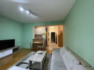 Izdavanje, dvosoban stan, 45m², Grbavica, Novi Sad Sve Podlokacije - image 3