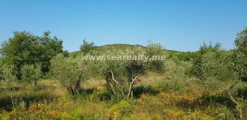 Prodaja, plac, 5600m², Krimovica, Kotor