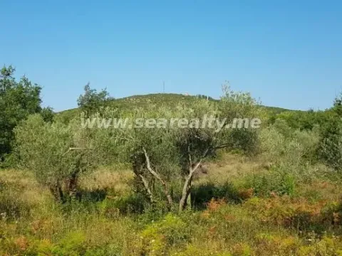 Prodaja, plac, 5600m², Krimovica, Kotor