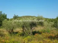 Prodaja, plac, 5600m², Krimovica, Kotor - image 1