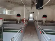 Prodaja, kuća, 228m², Kelebija, Subotica - image 15