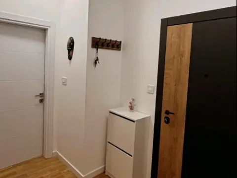 Izdavanje, jednosoban stan, 46m², Zabjelo, Podgorica - image 11