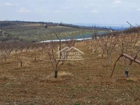 Prodaja, plac, 32477m², Begaljica, Grocka - image 2