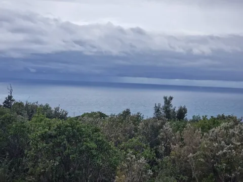 Prodaja, plac, 5000m², Zagora, Kotor - image 3