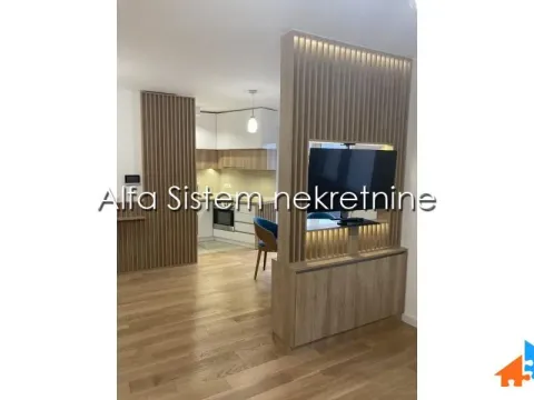 Izdavanje, dvosoban stan, 52m², Južni Bulevar, Vračar Sve Podlokacije - image 6