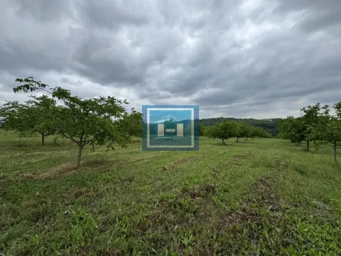 Prodaja, plac, 22800m², Stubica, Paraćin - image 3